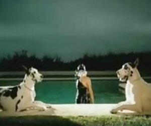 Samuel hút vít với một đen video dit nhau khong che mạnh mẽ